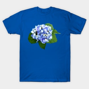 Hydrangeas - Blue and Purple Hydrangea T-Shirt